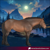 Horse Color:Brown 