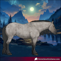 Horse Color:Grullo Roan Rabicano 