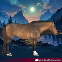 Horse Color:Buckskin 