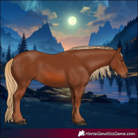 Horse Color:Chestnut 