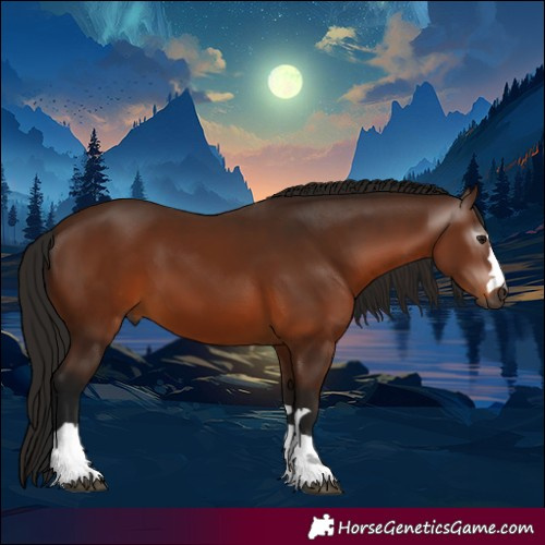 Horse Color:Gray Bay 