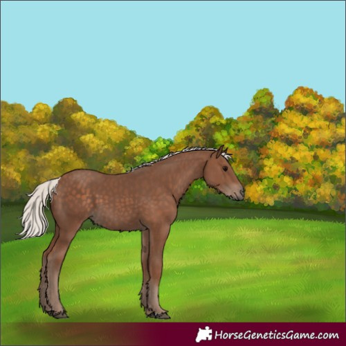 Horse Color:Silver Black 