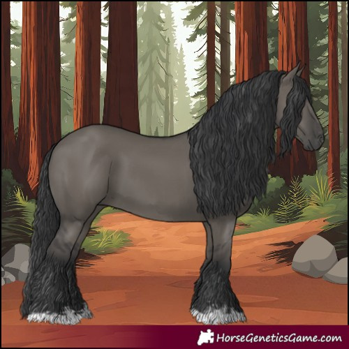 Horse Color:Grullo and Grullo
