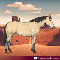 Horse Color:Buckskin 