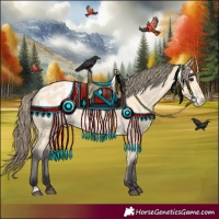 Horse Color:Buckskin Blanket