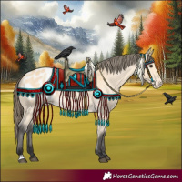 Horse Color:Buckskin Blanket 