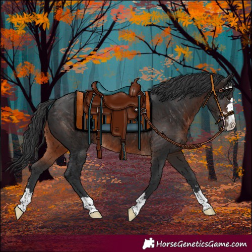 Horse Color:Brown 
