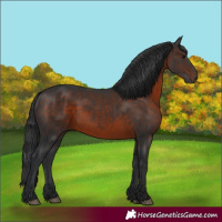 Horse Color:Brown 