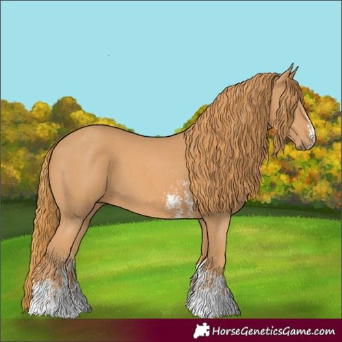 Horse Color:Chestnut Sabino 