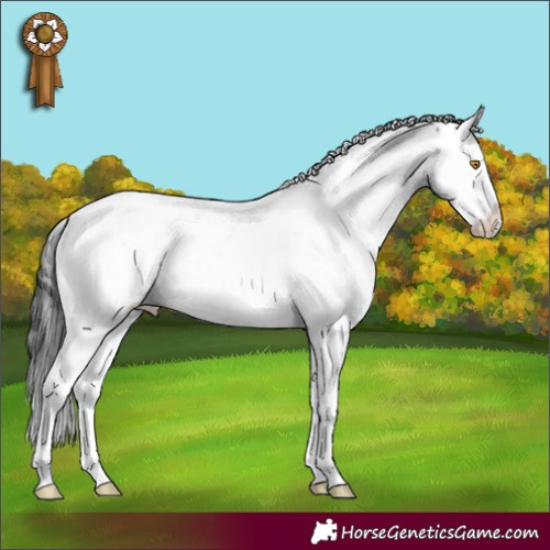 Horse Color:Brown Dun Mushroom Sabino 
