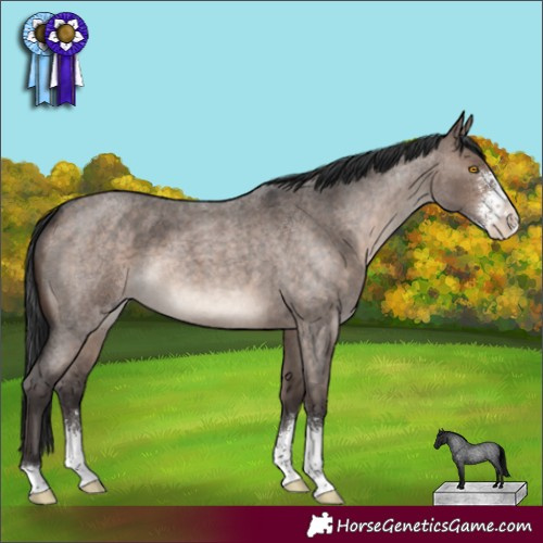 Horse Color:Brown Roan Dun Mushroom Sabino 