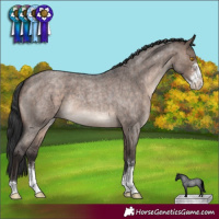 Horse Color:Brown Roan Dun Mushroom Sabino