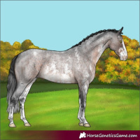Horse Color:Brown Roan Mushroom Sabino Varnish