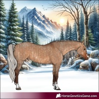 Horse Color:Bay Dun  and Silver Bay Dun 