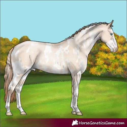 Horse Color:White Spotted Gold Champagne Pearl Dun Sabino