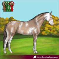 Horse Color:Amber Champagne Sabino