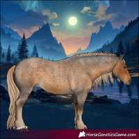 Horse Color:Chocolate Palomino Roan 