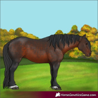 Horse Color:Brown 
