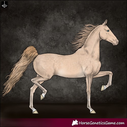 Horse Color:Perlino 