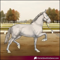 Horse Color:Smoky Creme 
