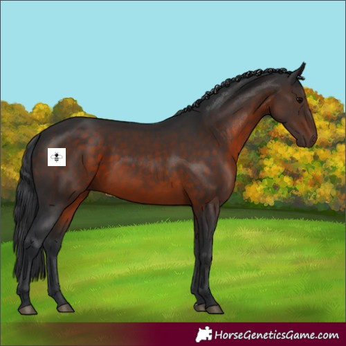 Horse Color:Brown 