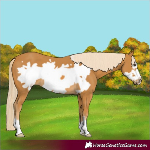 Horse Color:Palomino Frame