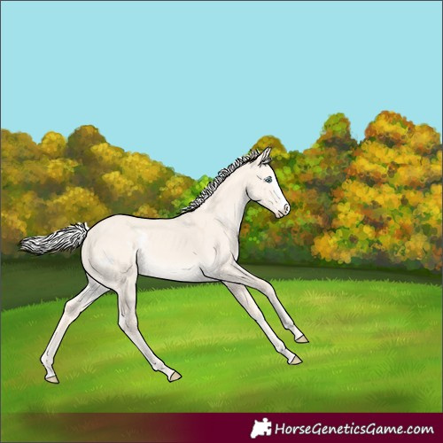 Horse Color:White Spotted Silver Perlino Dun Splash Rabicano 