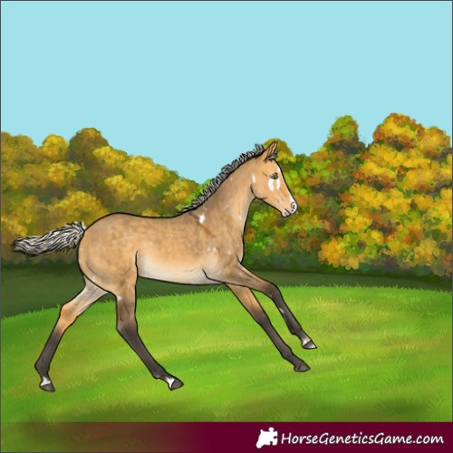 Horse Color:White Spotted Silver Buckskin Dun Splash Rabicano 