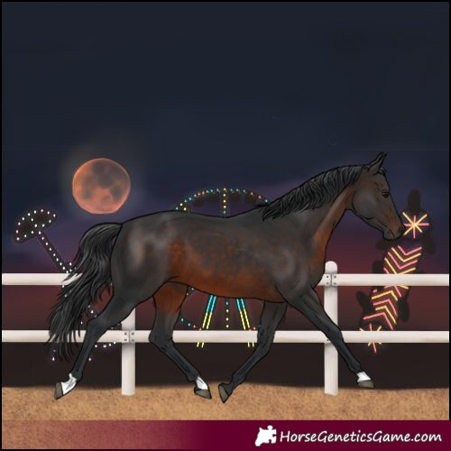 Horse Color:Brown 