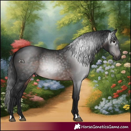 Horse Color:Gray Brown 