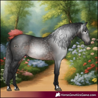 Horse Color:Gray Brown 