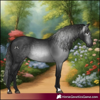 Horse Color:Gray Black 