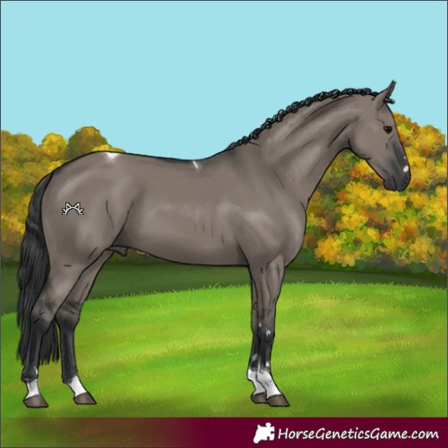 Horse Color:Grullo Tobiano 