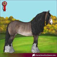 Horse Color:Brown Dun Rabicano