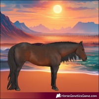 Horse Color:Liver Chestnut 