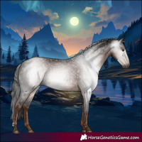 Horse Color:Gray Liver Chestnut 