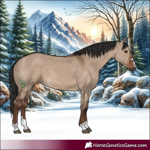 Horse Color:Liver Red Dun 