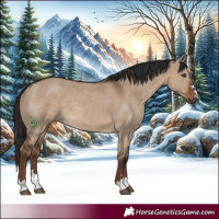 Horse Color:Liver Red Dun 