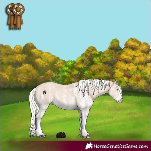 Horse Color:Silver Perlino Sabino 