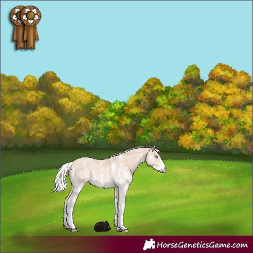 Horse Color:Silver Perlino Sabino 