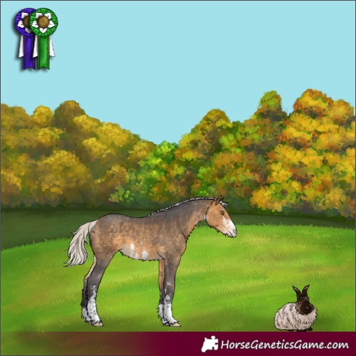 Horse Color:Silver Buckskin Sabino 