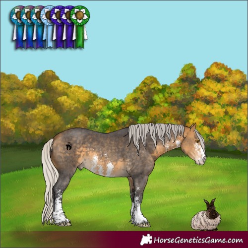 Horse Color:Silver Buckskin Sabino 