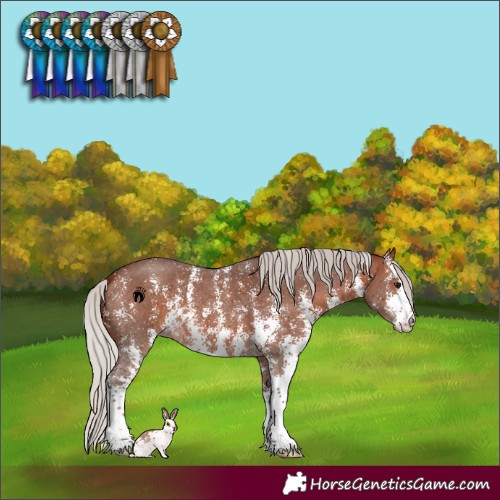 Horse Color:Silver Brown Sabino