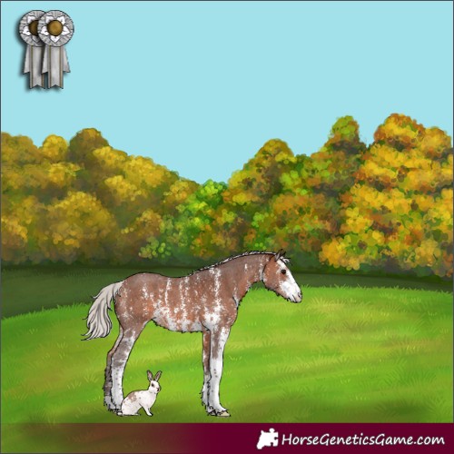 Horse Color:Silver Brown Sabino 