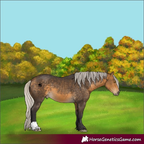 Horse Color:Silver Buckskin