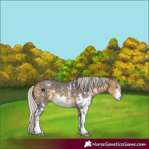 Horse Color:Silver Buckskin Sabino