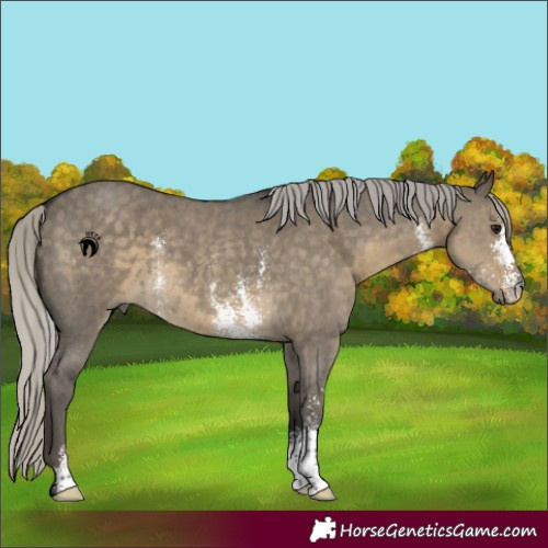 Horse Color:Silver Smoky Grullo Sabino