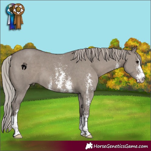 Horse Color:Silver Grullo Sabino