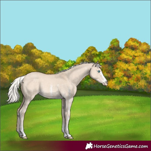Horse Color:Silver Smoky Creme Dun Sabino 