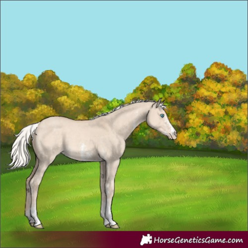 Horse Color:Silver Smoky Creme Dun Sabino 